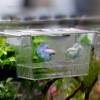 Zerodis Tanques de cría de Acuario de acrílico para incubadora