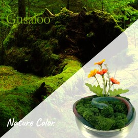 Moss Preserved Moss for Potted Plants Natural Fresh Green Reindeer Moss for Craft Arts Floral Wall Decor Decor Wedding Centerpieces Garden Artificial Terrariums Decoration for Christmas(Green) 3.5OZ