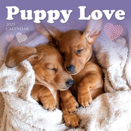 Puppy Love 2025 Large Wall Calendar, by Fresh Publishing, Size 302mm x 604mm (Open), Thick & Sturdy Eco Friendly (FSC) Paper.