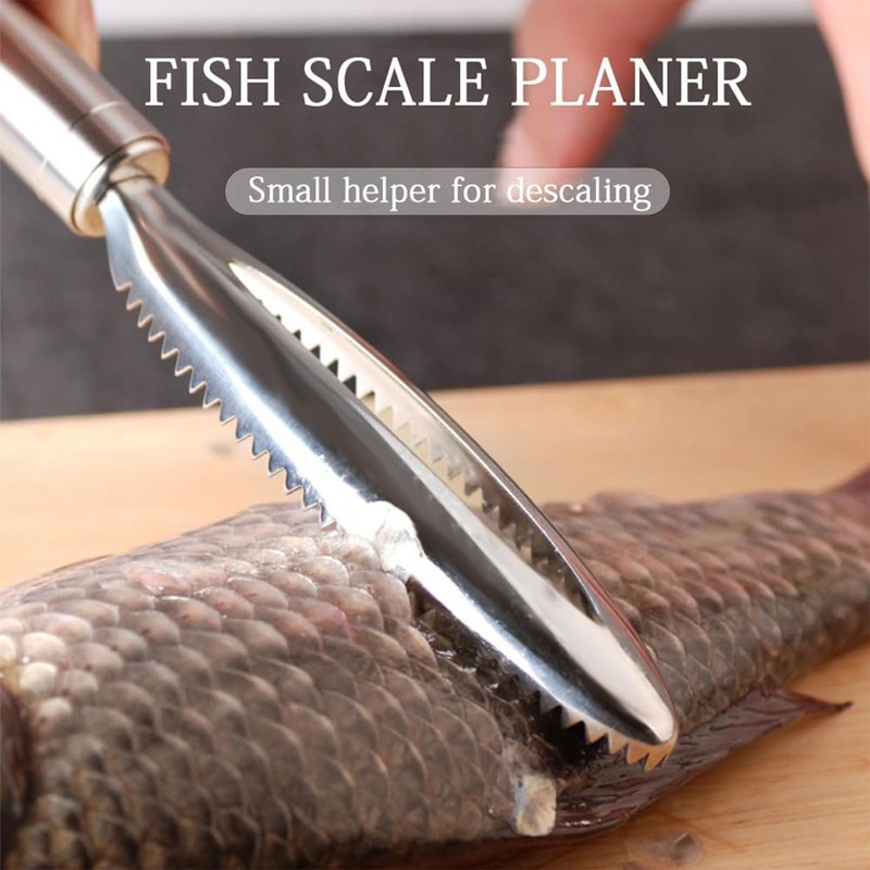 RSYHVG 3 PCS Fish Scaler Remover,Fish Descaler Tool,304 Stainless Steel