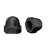 QANCEN Pack of 10 Acorn Nuts M8 Stainless Steel A2