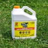 Spray & Forget Revolutionary Roof Cleaner Concentrate – Exterior Mold