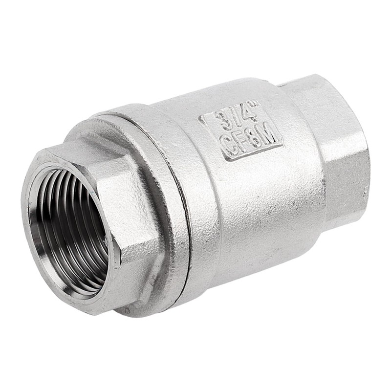 Stainless Steel Spring Check Valve Vertical WOG 1000 DN20 3/4
