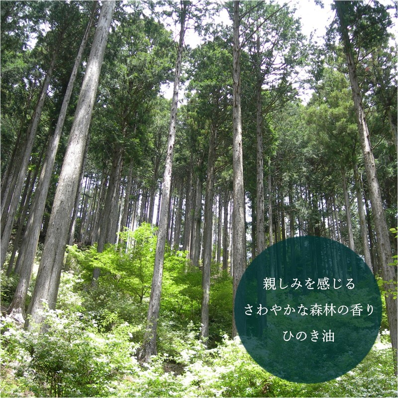 Yoshino Hinoki 20ml Domestic Japanese Cypress Incent Essential Oil, Pure