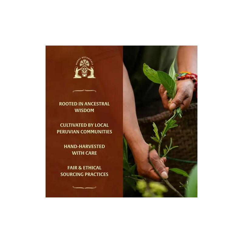 Munay Botanicals Gotas Maca Roja 50 Ml Vegano