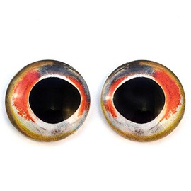 Realistic Bass Fish Glass Eyes Animal Pair for Art Doll Parts, Sculpture, Prop, Mask, Fursuit Supplies, Jewelry Making Cabochons, Taxidermy, Fishing Lures, and More (20mm)