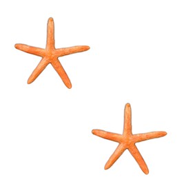 MultiValue Fish Tank Ornaments, 2Pcs Cute Resin Mini Aquarium Decorations Realistic Submerged Starfish Fish Tank Landscape Decoration for Freshwater Saltwater