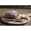 Westmark Stainless Steel Poultry Shears