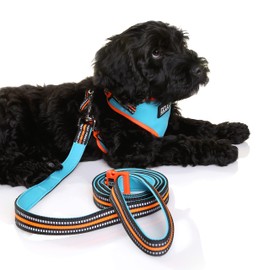 DOOG - All Weather 'Neoflex" Dog Harness, Flexible Neoprene Breathable Mesh Padding Light Wetsuit Material Water Friendly Draws Moisture Away Fir Skin Easy Fit Small, Medium, Large, XL Soft Comfortable 2 Point Adjustable Leash Training Run Walk Swim