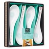 World Of Flavours Oriental Spoons