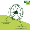 Windhager 06250 Plant Ring Plant Support Shrub Support Green Diameter
