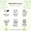 Biotary Quercetin, 180 Capsules of 649 mg, 6 Month Supply,
