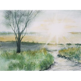 Schmincke - HORADAM® AQUARELL, Super Granulation, 14 932 001 Shire Olive, tubo de 5 ml, colores granuladores muy fuertes, mejores acuarelas súper granuladoras