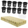 BESPORTBLE 1 Set Hydroponic Planting Kit Self Watering Grow Baskets