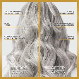 L'Oreal Paris Le Color Gloss One Step In-Shower Toning Hair Gloss, Neutralizes Brass, Conditions & Boosts Shine, Silver, 4 Ounce