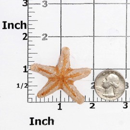 Starfish Silicone Mold Food Safe Fondant, Chocolate, Candy, Resin, Polymer Clay, Epoxy.