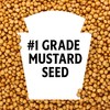 Heinz 100% Natural Yellow Mustard (12 ct Pack, 14 oz