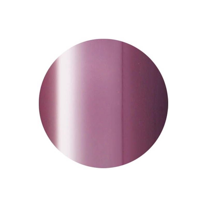 ageha Cosmetic Color 147 Dark Cherry Gel Nail Supplies