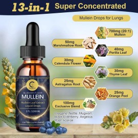 GPGP Greenpeople 60ml Mullein Drops for Lungs, Detox and Cleanse Mullein Extract Supplement US