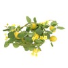 Zerodeko Realistic Lemon Rattan Garnish Lemon and Leaves Garland for