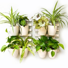 ShopLaLa Wooden Wall Planters - 2 Pack Wall Hanging Planters for Indoor Plants, White Rustic Wood Wall Mounted Flower Pot Holder Vertical Succulent Orchid Airplant Frame Display 15.7" (40cm)