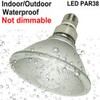 25W PAR38 LED Flood Light,250W PAR38 Halogen Bulb Equivalent,Daylight White,Full