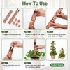 2 Sets Wooden Extendable Plant Trellis Indoor Climbing Houseplants, 2-in-1
