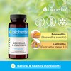 Boswellia & Curcumin 100 Capsules with Calcium