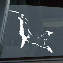 Mister Petlife Border Collie Frisbee Disc Dog Sticker Vinyl Auto Window v3 White 5.50" x 5.31"