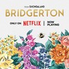 The Republic of Tea — Bridgerton Francesca Rose Chamomile Herbal