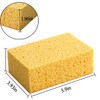 Natural Sponges Kitchen,2" Thick Extra Large Heavy Duty Scrub Sponges,Household