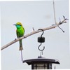 Hohopeti 2pcs Ant Moat Hook for Hummingbird Feeder Hanging Bird
