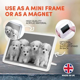 1 x Fridge Magnet - White Bichon Frise Puppy Dog #36483