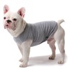 SyChien Dog Large Blank Shirts,Lightweight Cool Clothes for Big Dogs,Girl