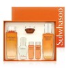 Sulwhasoo Concentrated Ginseng Renewing 2 Type Basic Special Set Skin