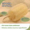 Esponjas de lufa exfoliantes suaves – Pack de 6 para