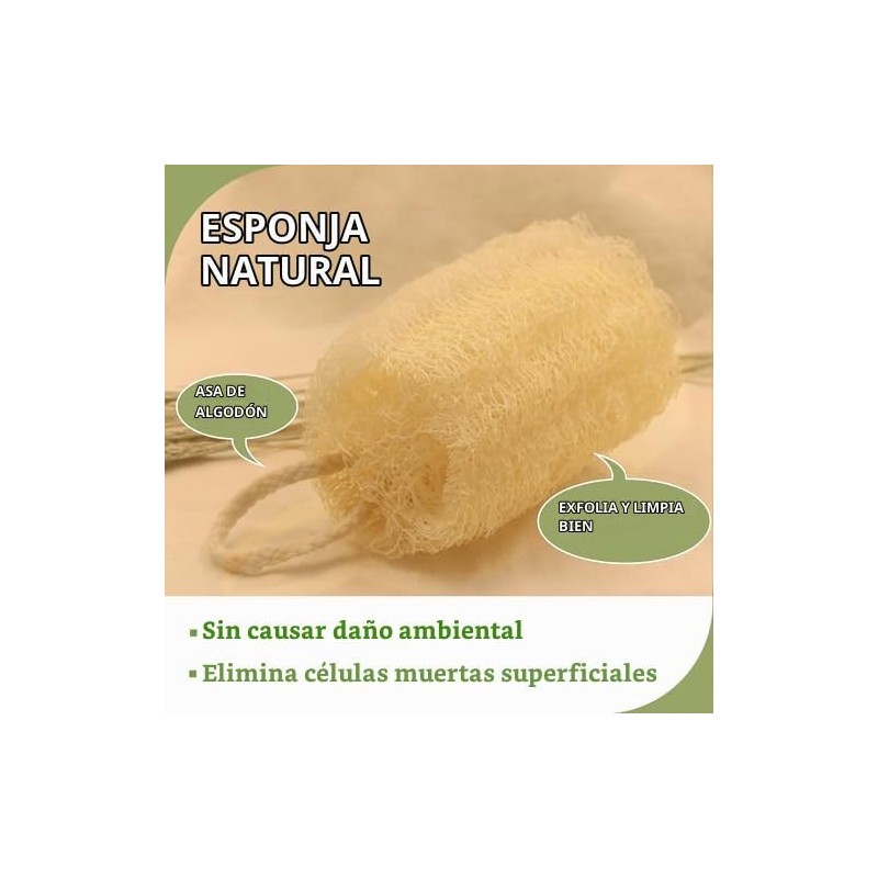 Esponjas de lufa exfoliantes suaves – Pack de 6 para