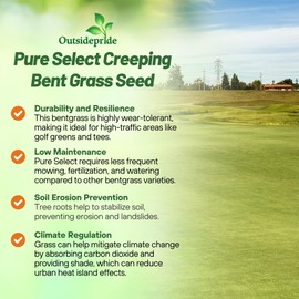 Outsidepride Pure Select Creeping Bent Grass Seed - 5 lbs. Premium Turf Grass for Putting Greens, Tees & Fairways, Dense & Fine-Textured Lawn Seed for Smooth, Professional-Quality Golf Greens & Lawns