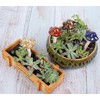 Nwvuop 8Pcs Ceramic Garden Mushroom Ornaments Toadstool Fairy Garden Decoration