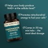 Dr. Mercola Niacinamide Vitamin B3 50mg 270tabs