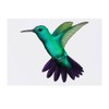 Azeeda Large 'hummingbird' temporary tattoos (TO00042246)