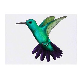 Azeeda Large 'hummingbird' temporary tattoos (TO00042246)