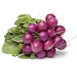 Purple Plum Radish Seeds - 1 Lb - Heirloom Garden Seeds, Non-GMO - Vegetable Gardening and Microgreens
