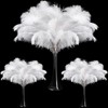 Maitys 90 Pcs Large Natural Ostrich Feathers Bulk 14-16 Inch