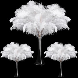 Maitys 90 Pcs Large Natural Ostrich Feathers Bulk 14-16 Inch (35-40cm) 12-14 Inch (30-35cm) 10-12 Inch (25-30cm) Ostrich Feathers Plumes for Centerpieces Ostrich Feathers for Wedding(White)