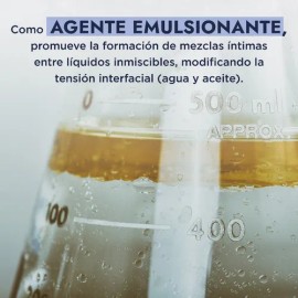 Scs Granular Sodium Coco S Tensoactivo Natural del coco Agente limpiador y espumante en Shampoo Solido Hebbe Cosmetics  Ludika 500g                   