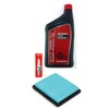 Honda EU3000 Generator Tune-Up Kit, (1) 08207-10w30 Quart Oil, (1)