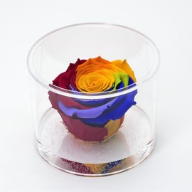 Runde Box mit mehrfarbiger Rose, stabilisiert, duftend, Box von 9 cm mit ewiger Rose, mehrfarbig, echte ewige Rose, Geschenkidee zum Geburtstag, Jahrestag, Weihnachten, hergestellt in Italien