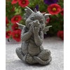 Garden Dragon Laughs in the Mitts Small - Lucky Dragon