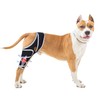 Moysoon Dog Knee Brace for Torn Acl Hind Leg -
